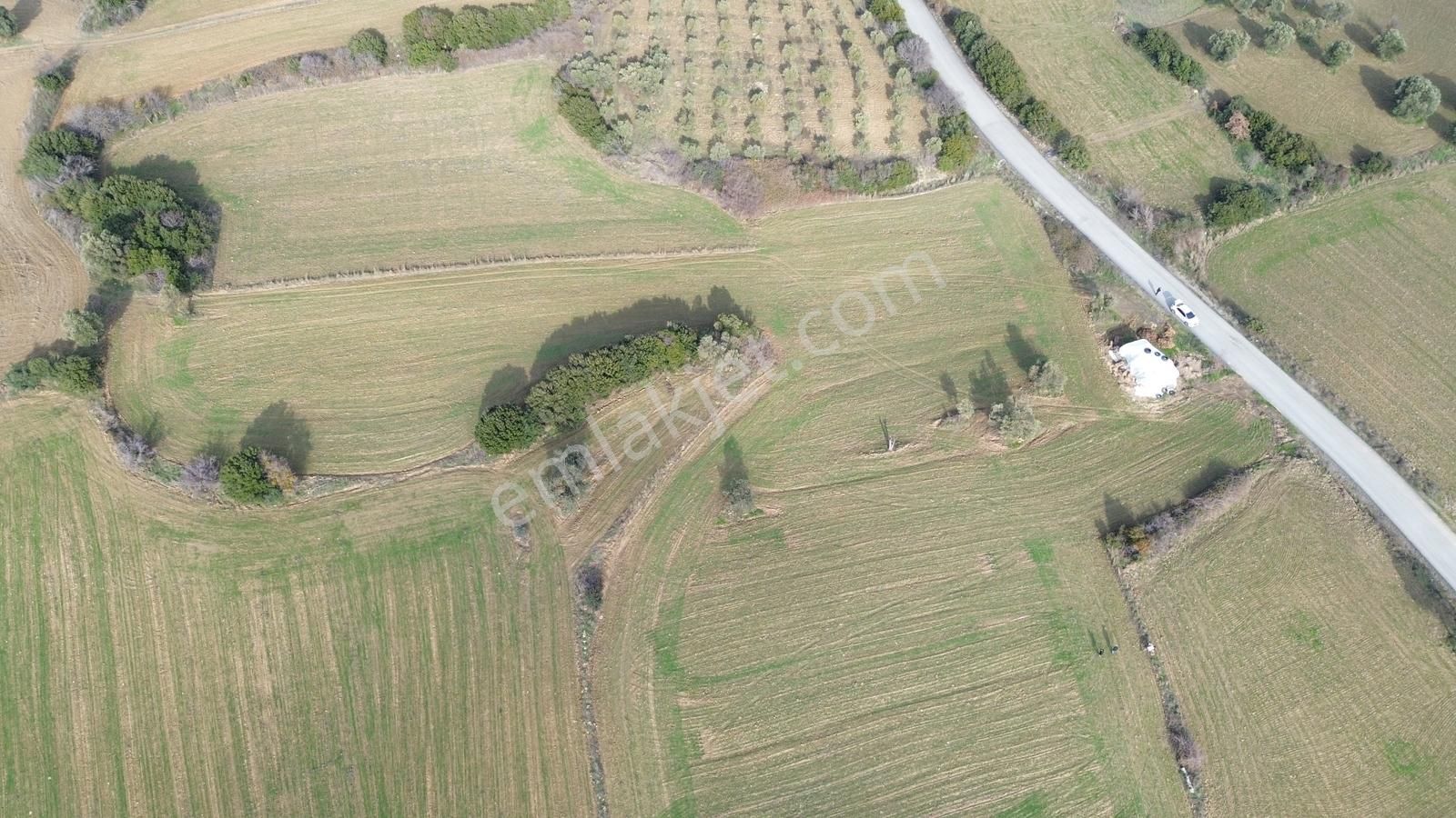 Çanakkale Eceabat Beşyol'da Ana Asfalta Geniş Cepheli 6285 M2 - Görsel 27