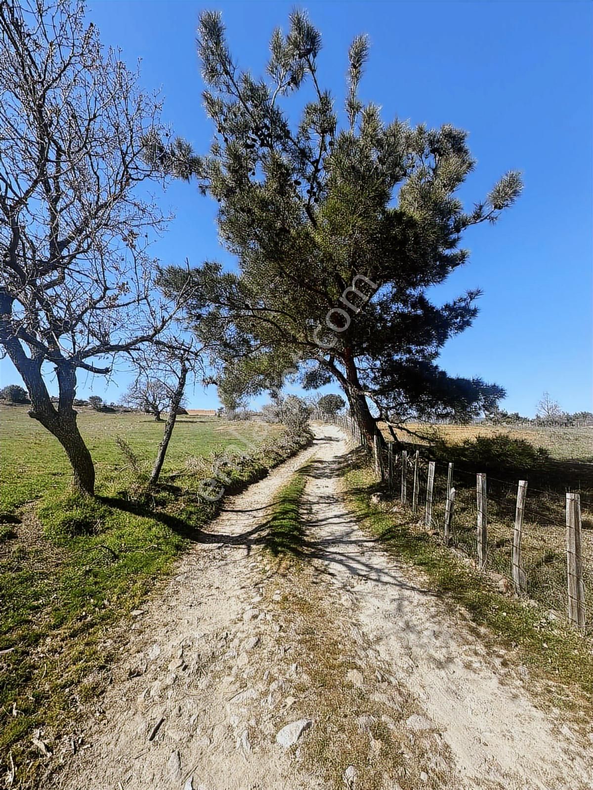 Çanakkale Bayramiç Bekirler'de Köye Çok Yakın 520m2 Hobibahçesi - Görsel 31