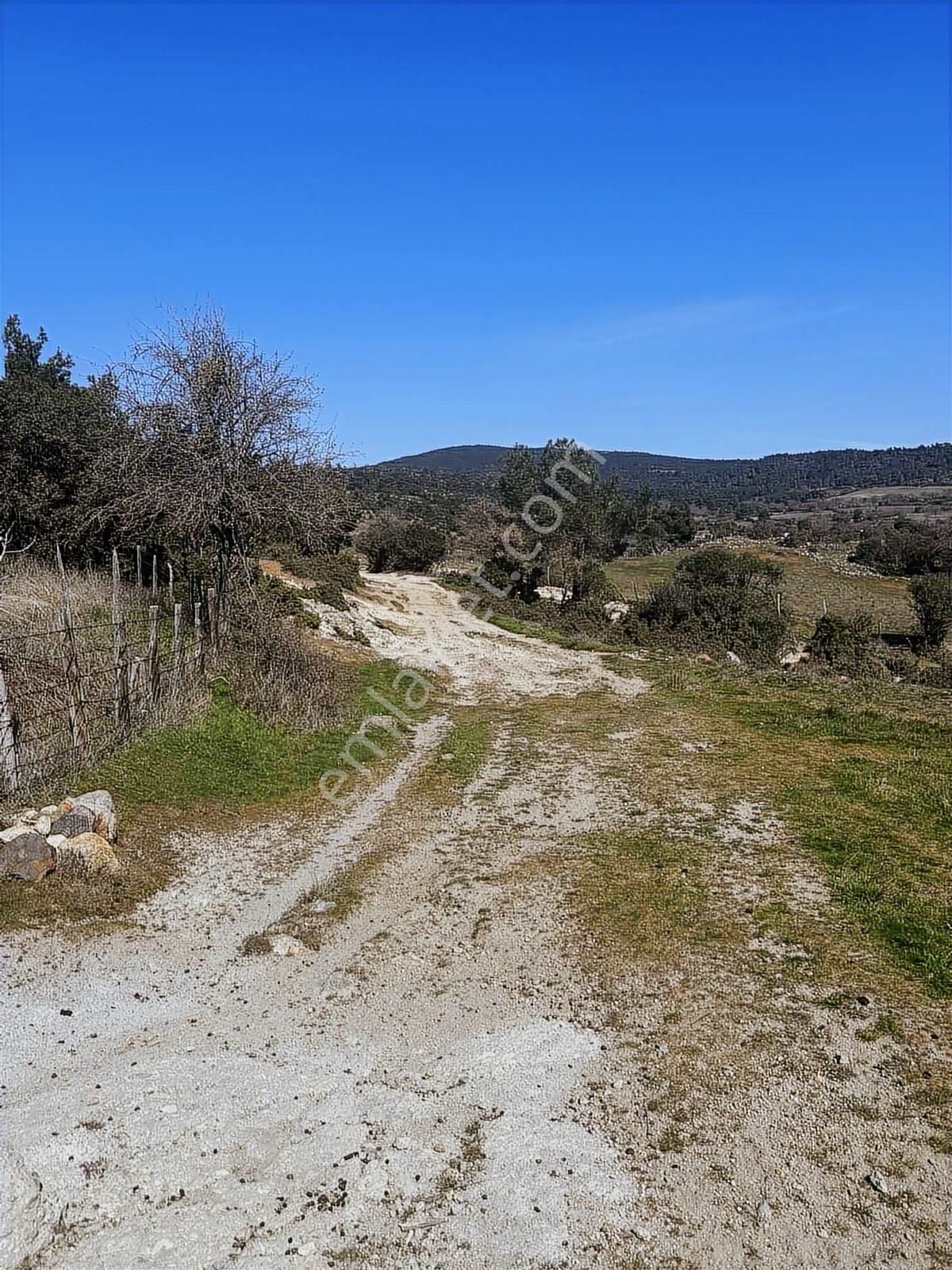 Çanakkale Bayramiç Bekirler'de Köye Çok Yakın 520m2 Hobibahçesi - Görsel 8