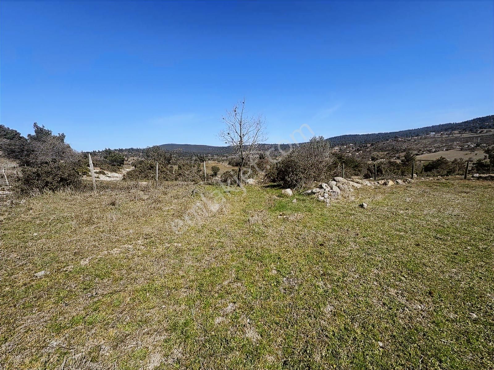 Çanakkale Bayramiç Bekirler'de Köye Çok Yakın 520m2 Hobibahçesi - Görsel 6