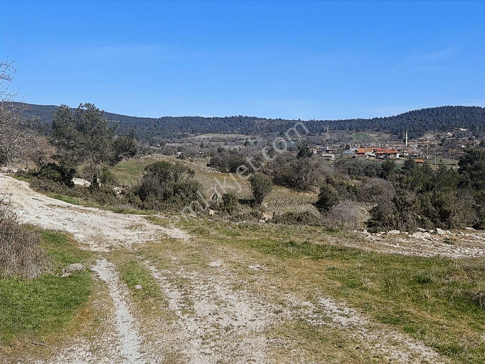 Çanakkale Bayramiç Bekirler'de Köye Çok Yakın 520m2 Hobibahçesi - Görsel 24