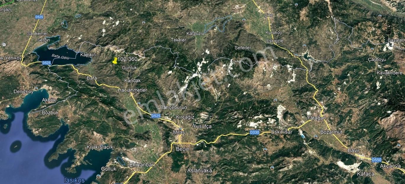 Fırsat!!!muğla Milas Akçalı Köyü'nde Yola Cephe 309 M2 Zeytinlik - Görsel 6
