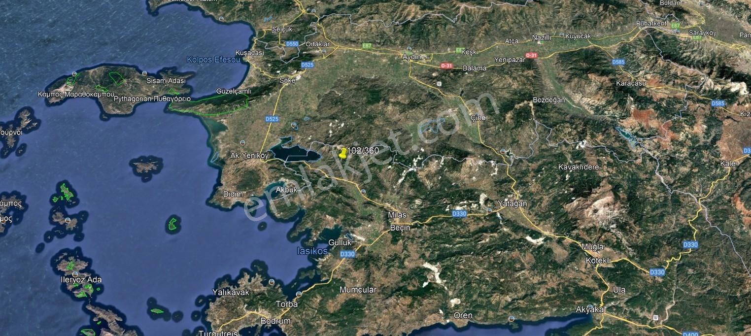 Fırsat!!!muğla Milas Akçalı Köyü'nde Yola Cephe 309 M2 Zeytinlik - Görsel 2