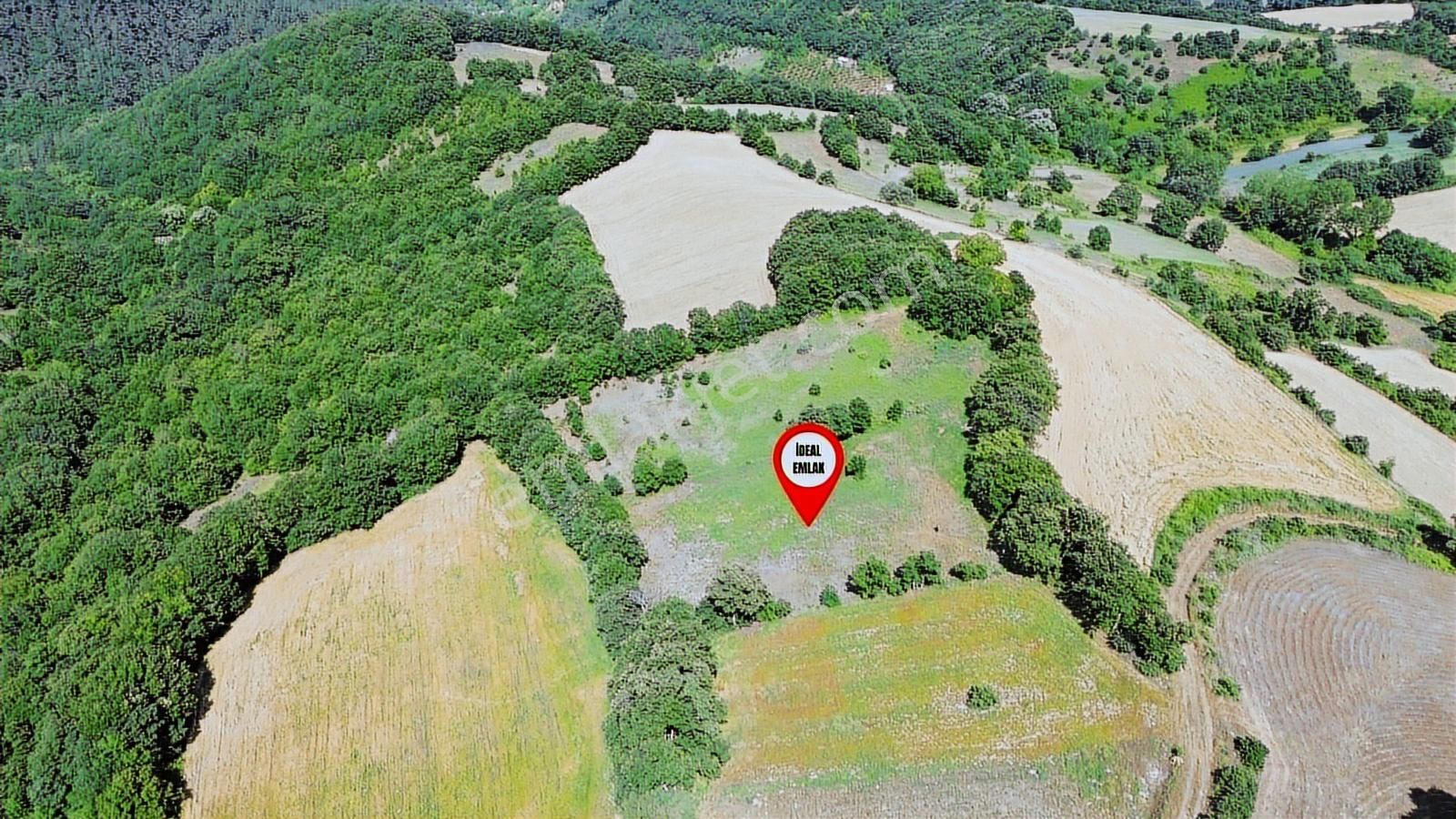 Altıkulaç Köyü'nde Hobi Bahçesi İçin İdeal 3.507 M2 Tarla - Görsel 14