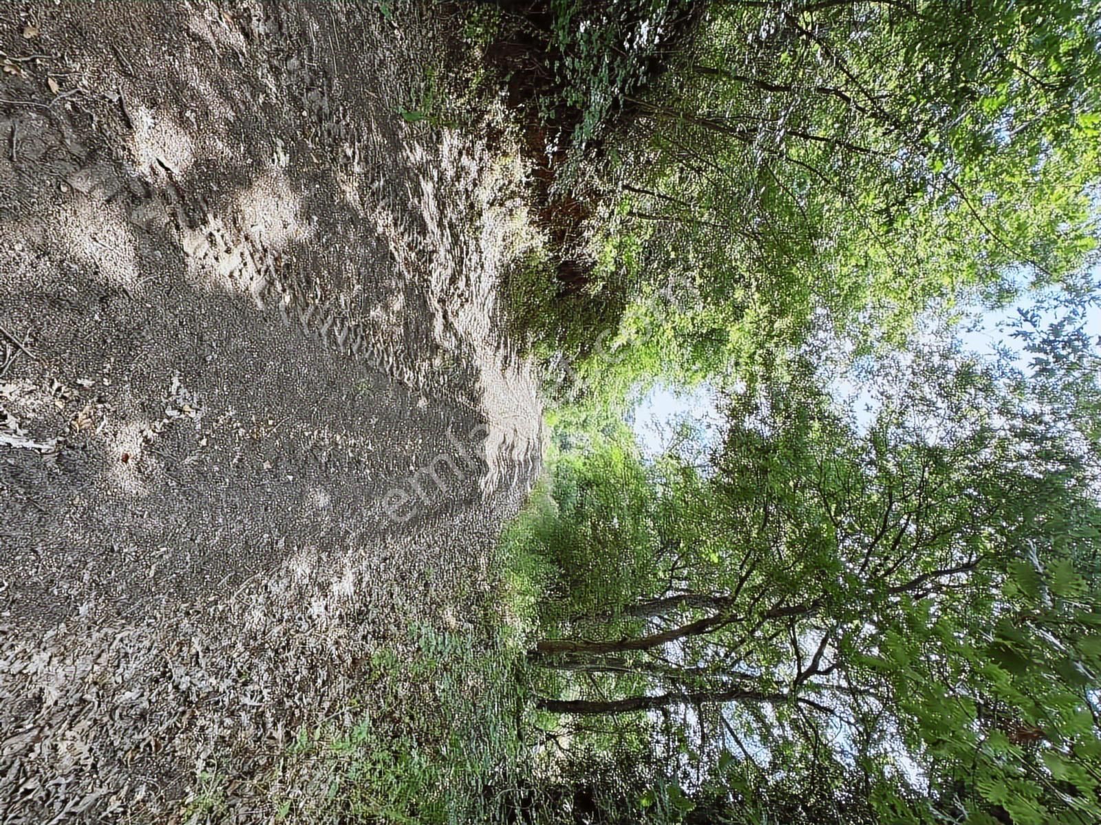 Altıkulaç Köyü'nde Hobi Bahçesi İçin İdeal 3.507 M2 Tarla - Görsel 35