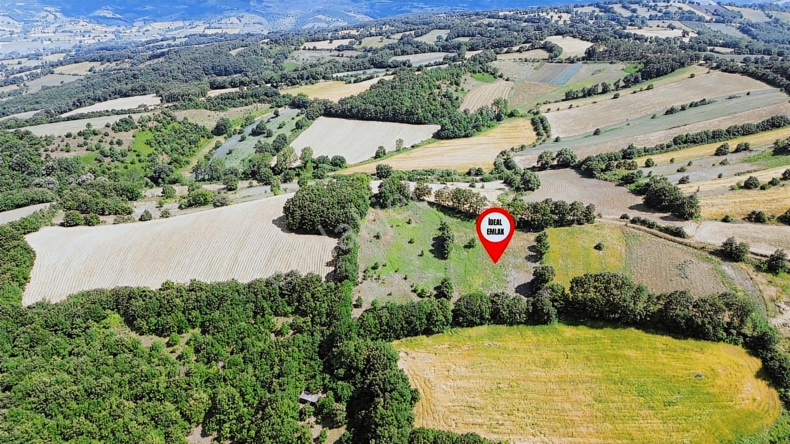 Altıkulaç Köyü'nde Hobi Bahçesi İçin İdeal 3.507 M2 Tarla - Görsel 15