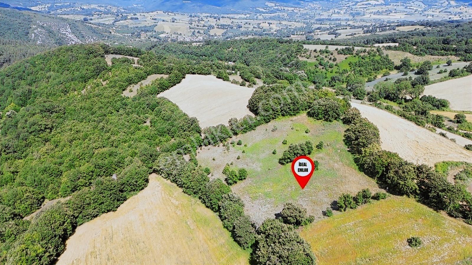 Altıkulaç Köyü'nde Hobi Bahçesi İçin İdeal 3.507 M2 Tarla - Görsel 29