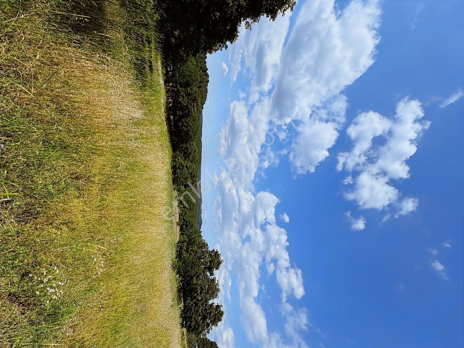 Altıkulaç Köyü'nde Hobi Bahçesi İçin İdeal 3.507 M2 Tarla - Görsel 18