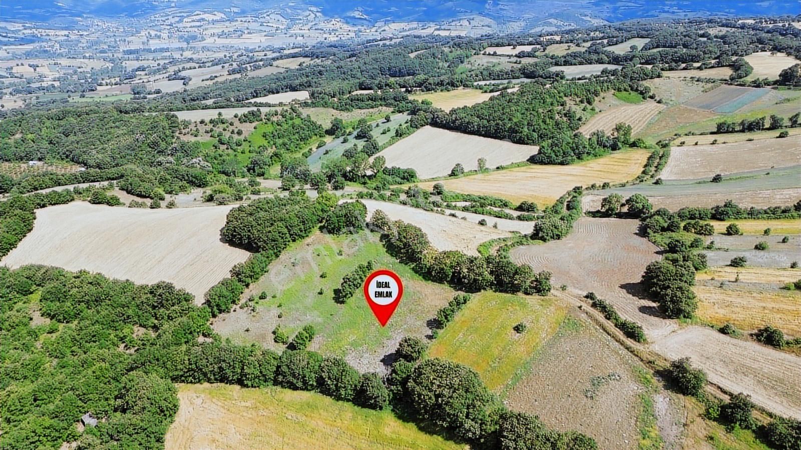 Altıkulaç Köyü'nde Hobi Bahçesi İçin İdeal 3.507 M2 Tarla - Görsel 27