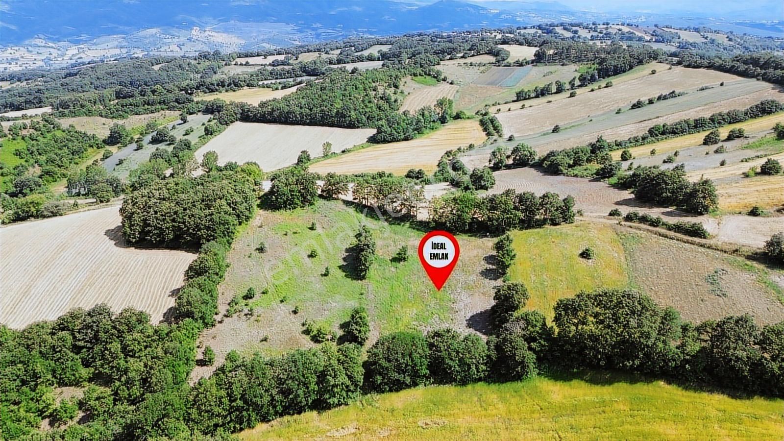 Altıkulaç Köyü'nde Hobi Bahçesi İçin İdeal 3.507 M2 Tarla - Görsel 17