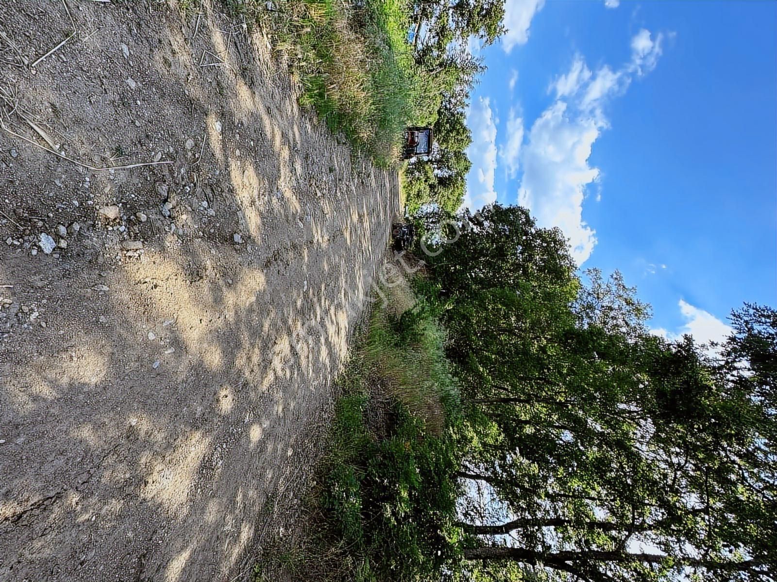 Altıkulaç Köyü'nde Hobi Bahçesi İçin İdeal 3.507 M2 Tarla - Görsel 33