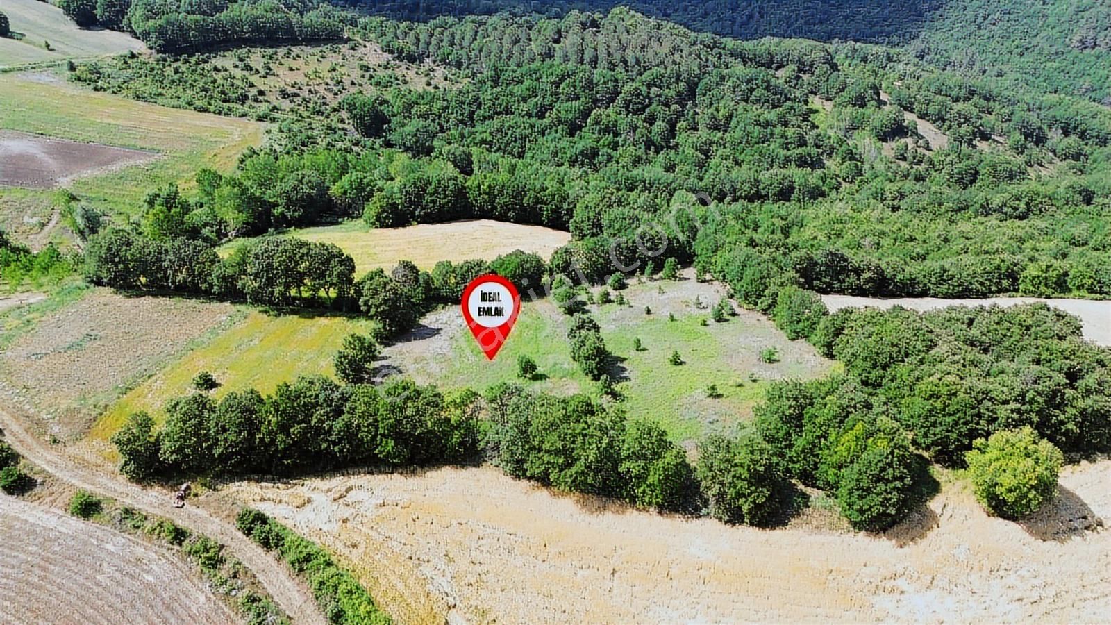 Altıkulaç Köyü'nde Hobi Bahçesi İçin İdeal 3.507 M2 Tarla - Görsel 30