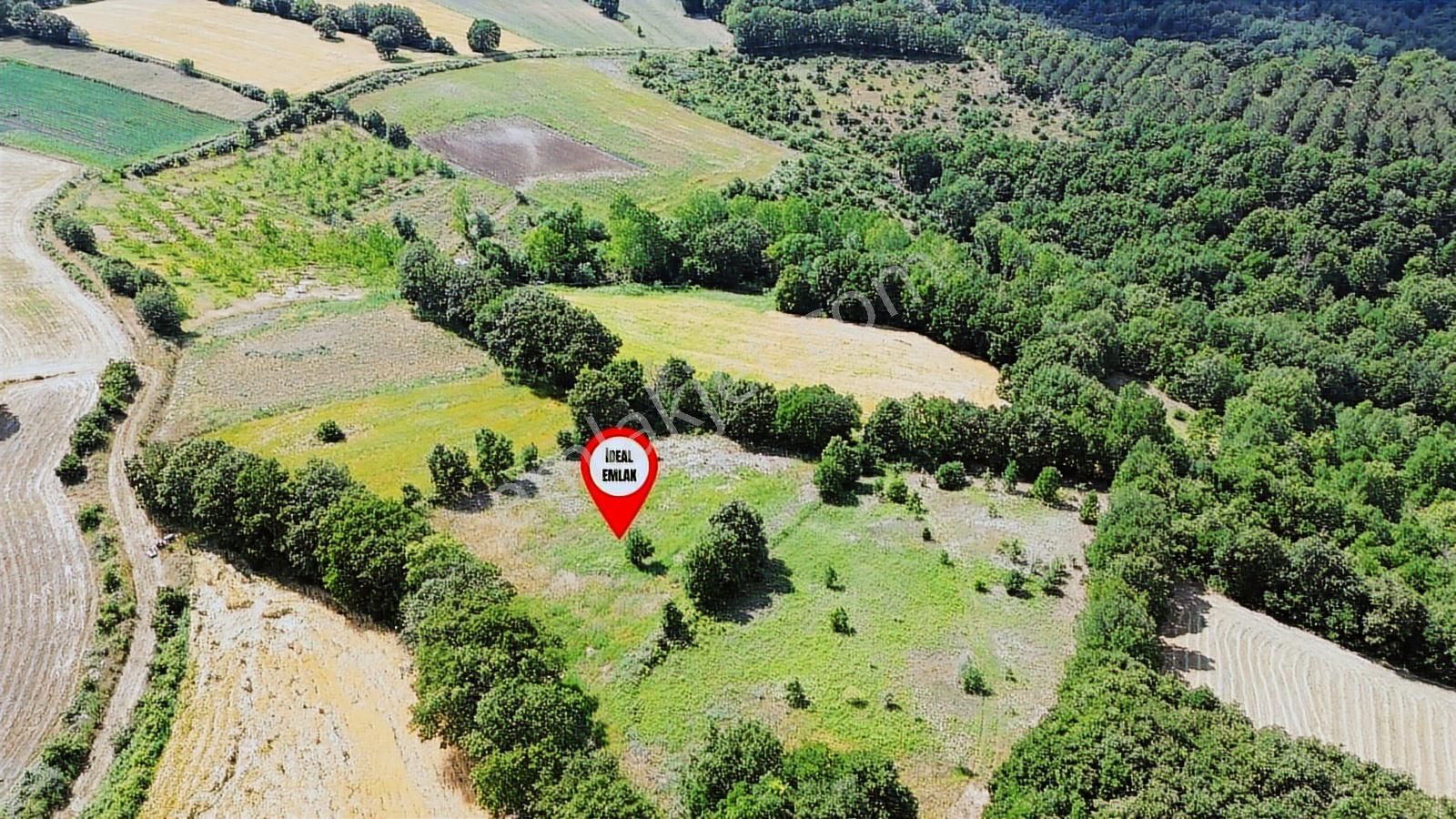 Altıkulaç Köyü'nde Hobi Bahçesi İçin İdeal 3.507 M2 Tarla - Görsel 10