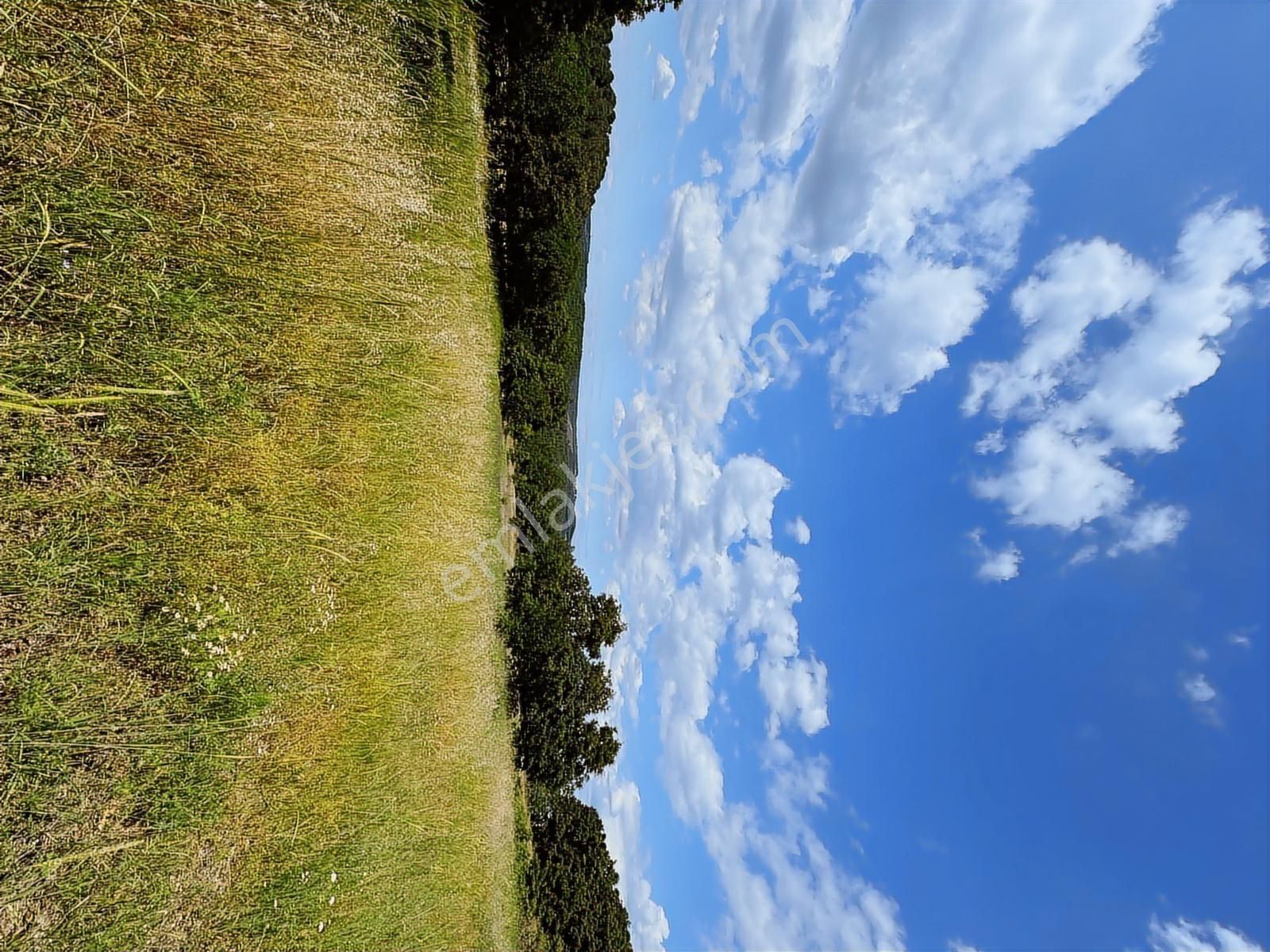 Altıkulaç Köyü'nde Hobi Bahçesi İçin İdeal 3.507 M2 Tarla - Görsel 22