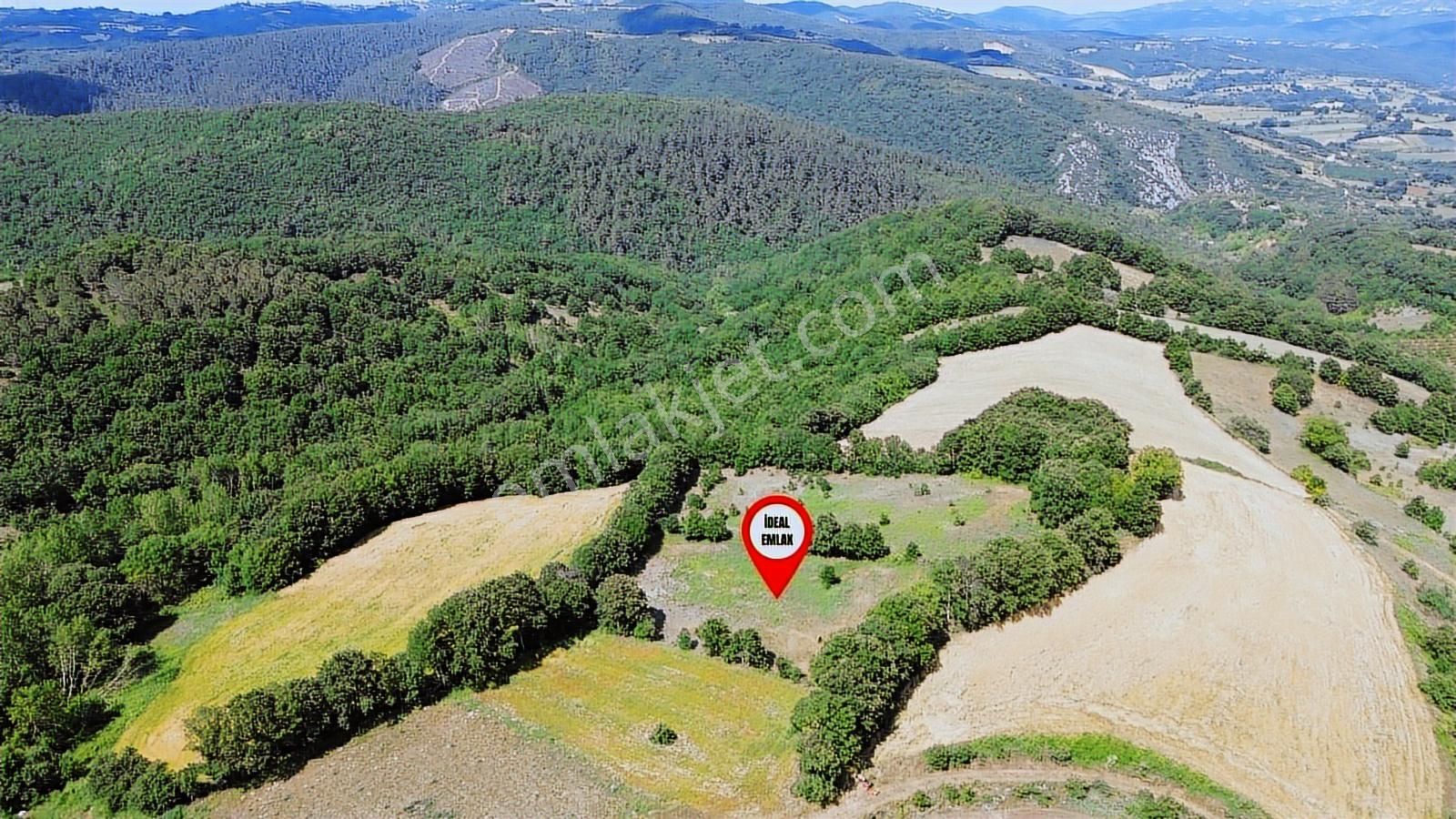 Altıkulaç Köyü'nde Hobi Bahçesi İçin İdeal 3.507 M2 Tarla - Görsel 7