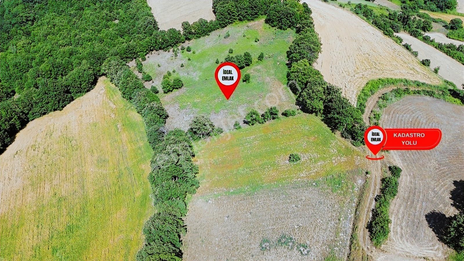 Altıkulaç Köyü'nde Hobi Bahçesi İçin İdeal 3.507 M2 Tarla - Görsel 13