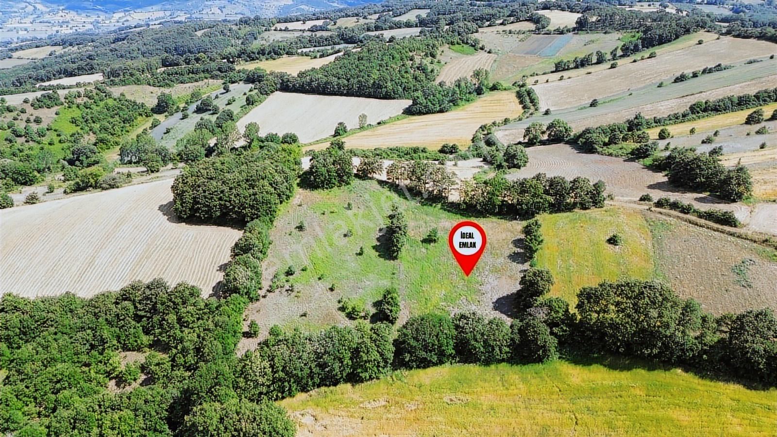 Altıkulaç Köyü'nde Hobi Bahçesi İçin İdeal 3.507 M2 Tarla - Görsel 9