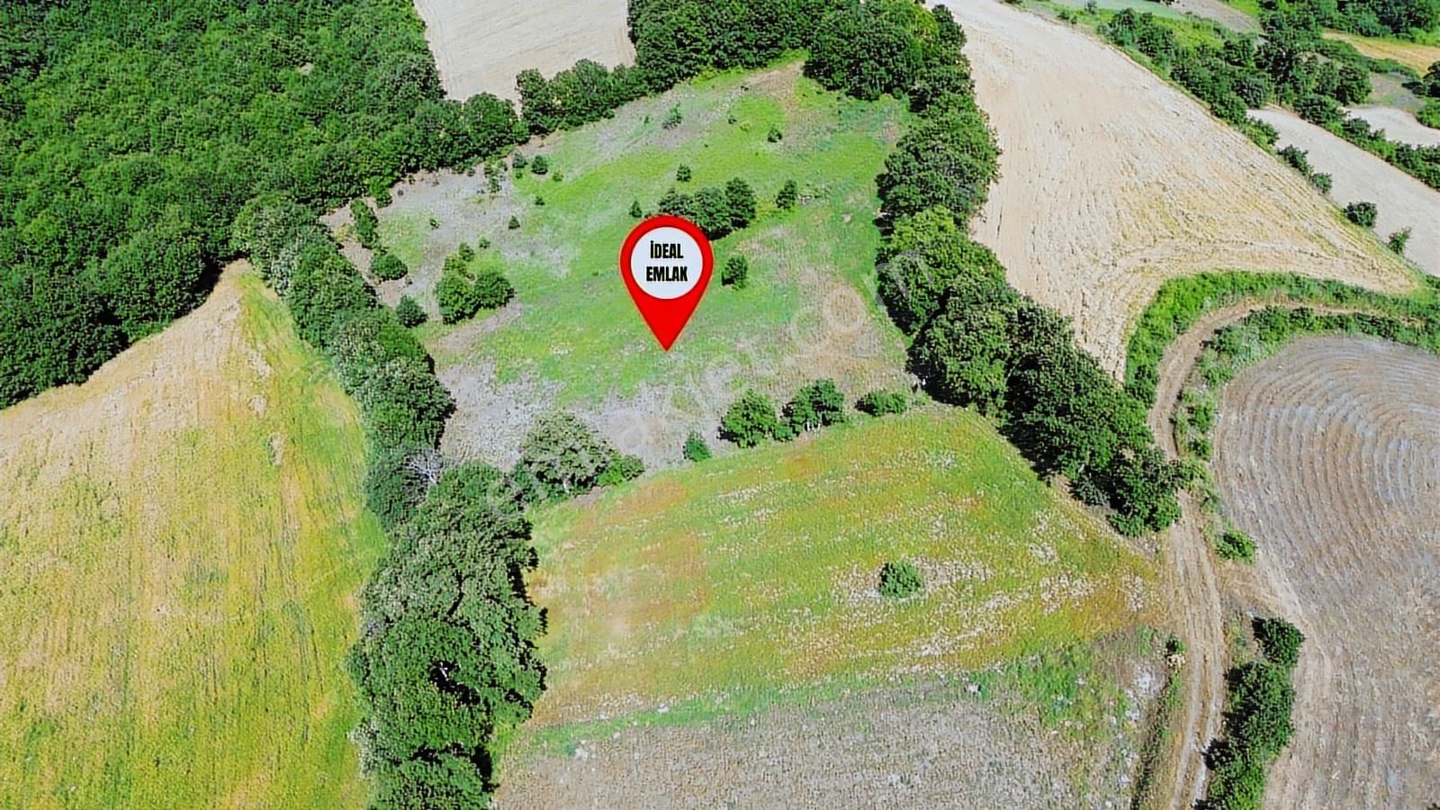 Altıkulaç Köyü'nde Hobi Bahçesi İçin İdeal 3.507 M2 Tarla - Görsel 6