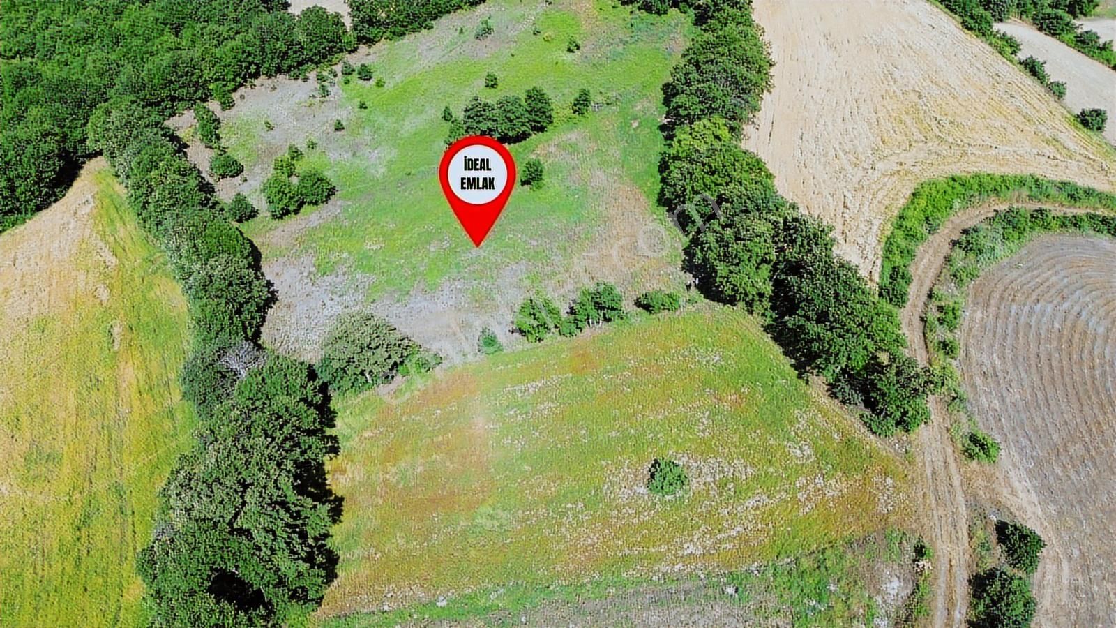 Altıkulaç Köyü'nde Hobi Bahçesi İçin İdeal 3.507 M2 Tarla - Görsel 11