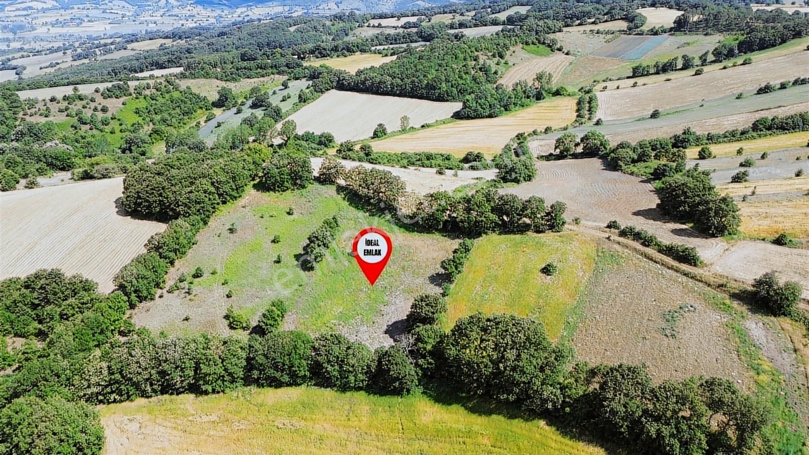 Altıkulaç Köyü'nde Hobi Bahçesi İçin İdeal 3.507 M2 Tarla - Görsel 2