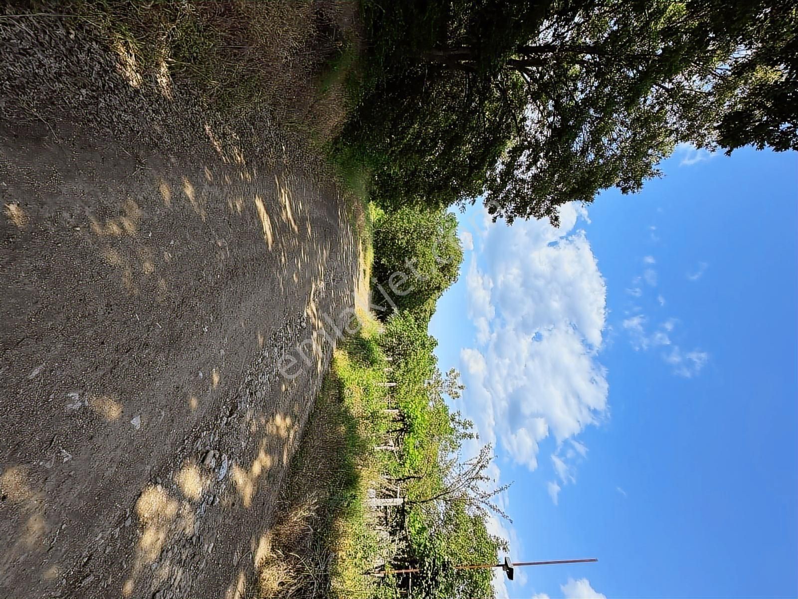 Altıkulaç Köyü'nde Hobi Bahçesi İçin İdeal 3.507 M2 Tarla - Görsel 23