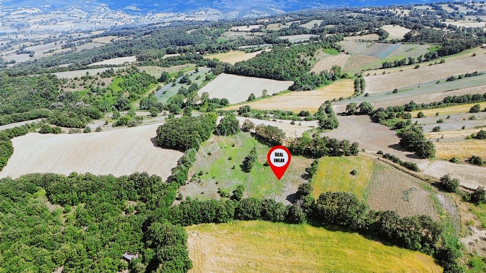 Altıkulaç Köyü'nde Hobi Bahçesi İçin İdeal 3.507 M2 Tarla - Görsel 25