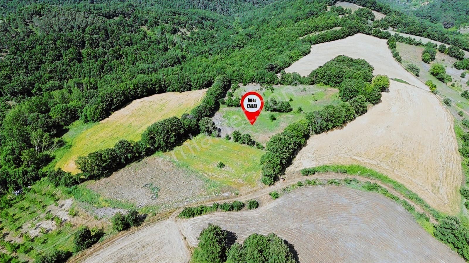 Altıkulaç Köyü'nde Hobi Bahçesi İçin İdeal 3.507 M2 Tarla - Görsel 20