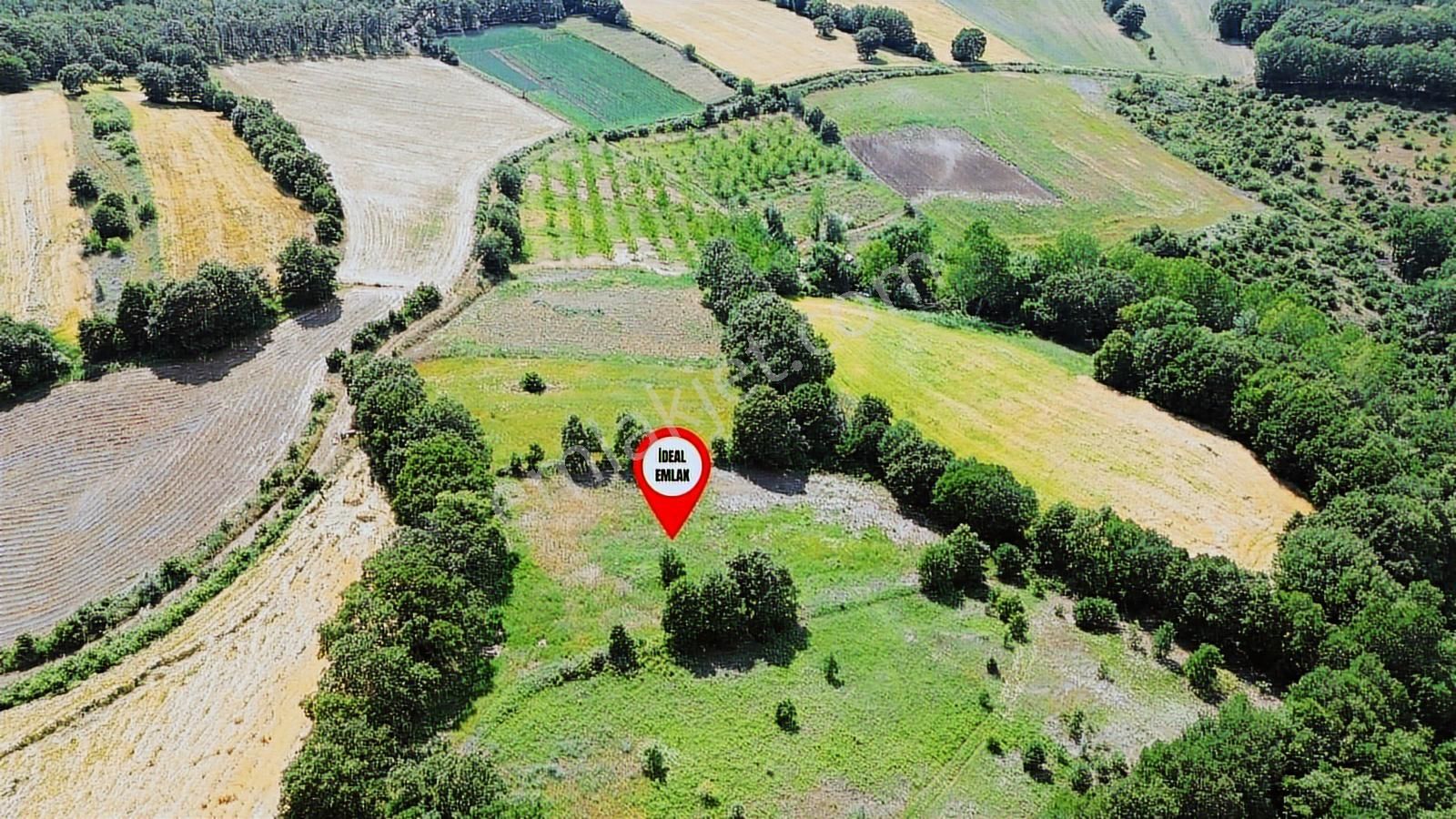 Altıkulaç Köyü'nde Hobi Bahçesi İçin İdeal 3.507 M2 Tarla - Görsel 26