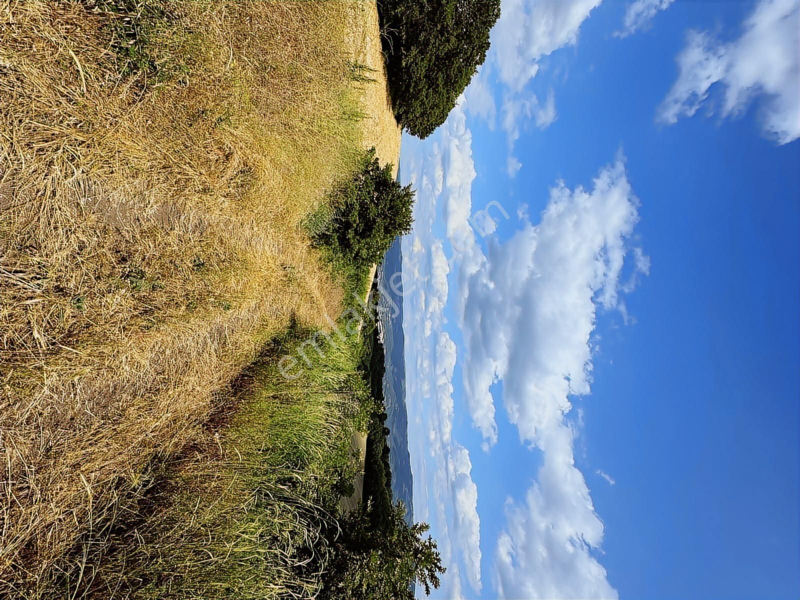 Altıkulaç Köyü'nde Hobi Bahçesi İçin İdeal 3.507 M2 Tarla - Görsel 32