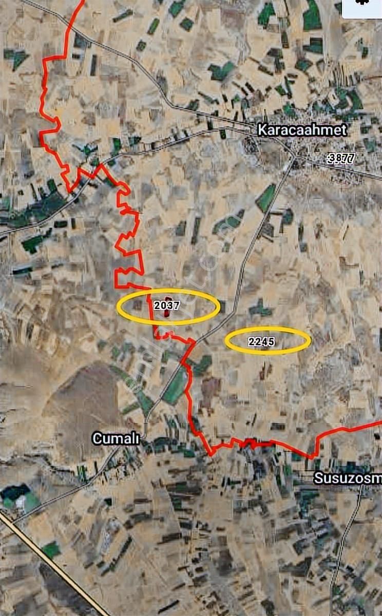 İhsaniye Karacahmette Satılık İki Adet Tarla