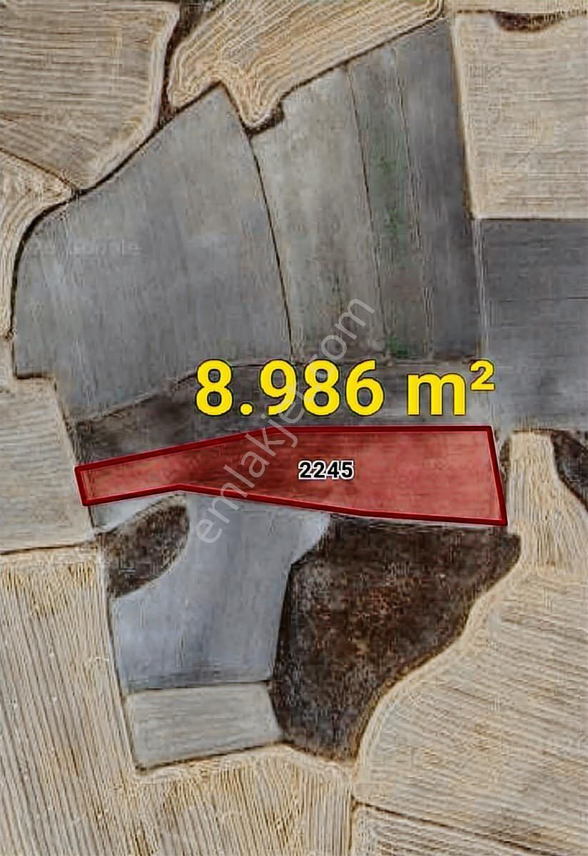 İhsaniye Karacahmette Satılık İki Adet Tarla - Görsel 2