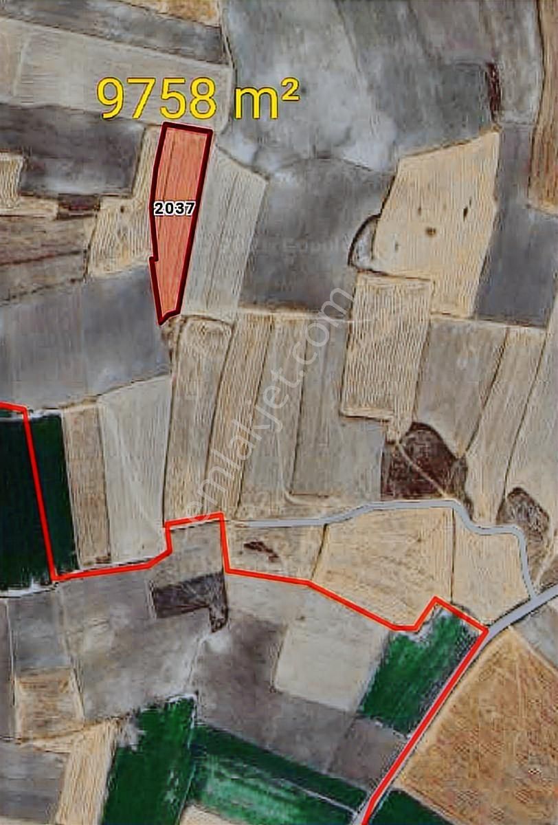 İhsaniye Karacahmette Satılık İki Adet Tarla - Görsel 3