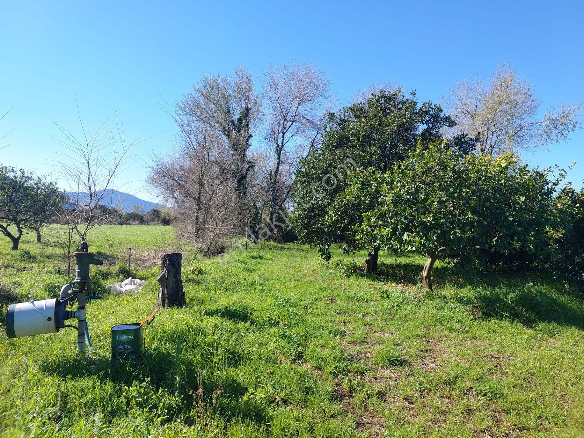 Dalyan İmar Planına Sıfır 507m2 Arsa Satılık Veya Ortacadan Daire İle Takas Olur - Görsel 6