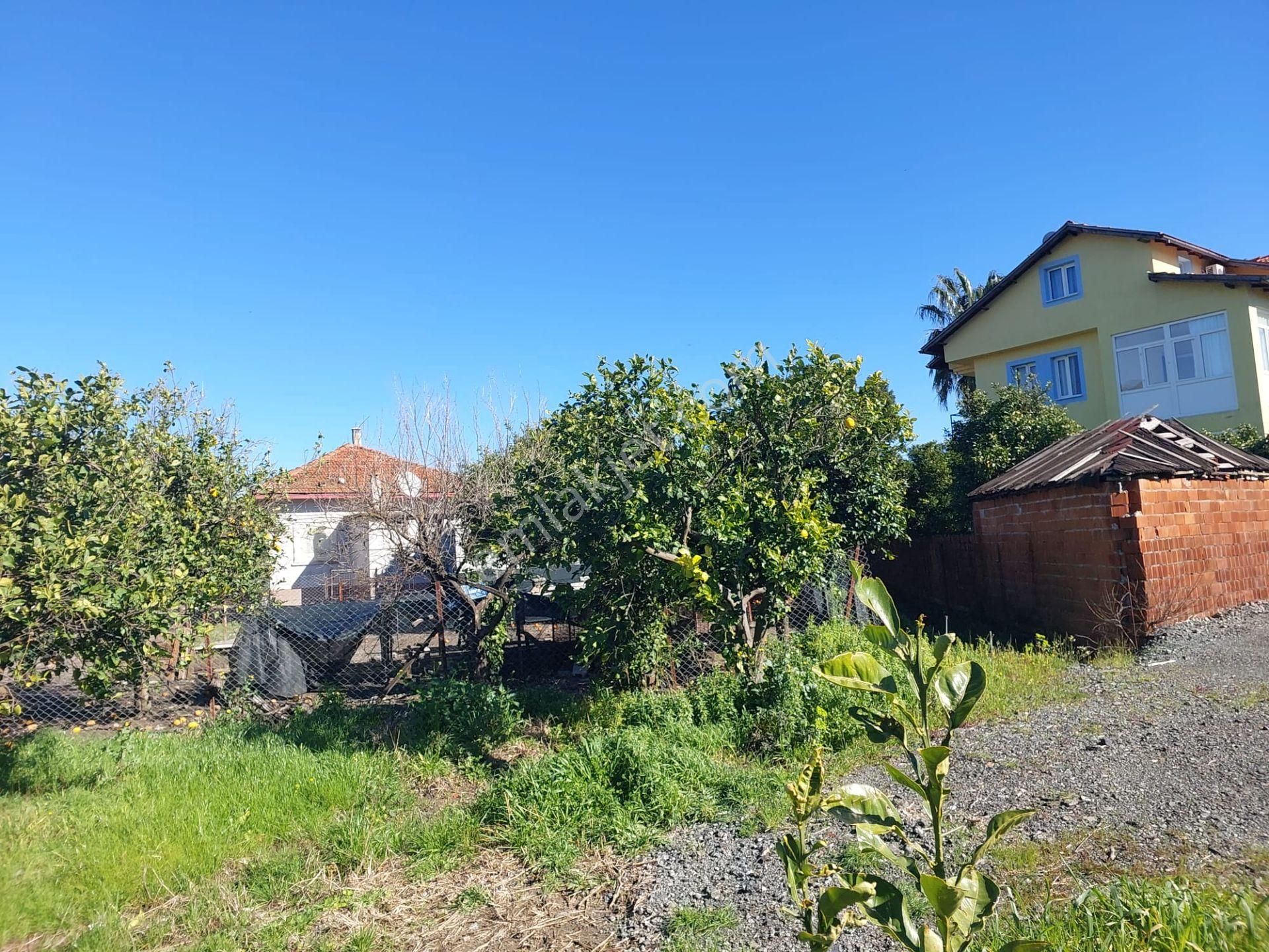 Dalyan İmar Planına Sıfır 507m2 Arsa Satılık Veya Ortacadan Daire İle Takas Olur - Görsel 5