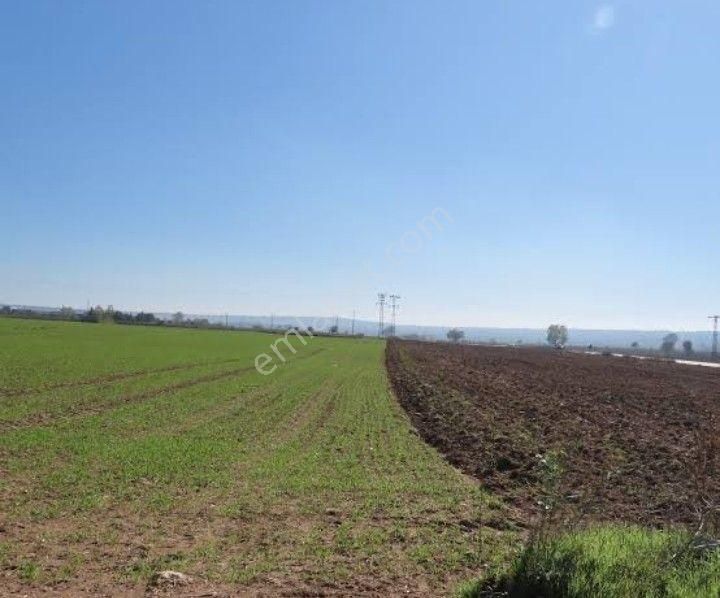 Satılık Hisseli Tarla