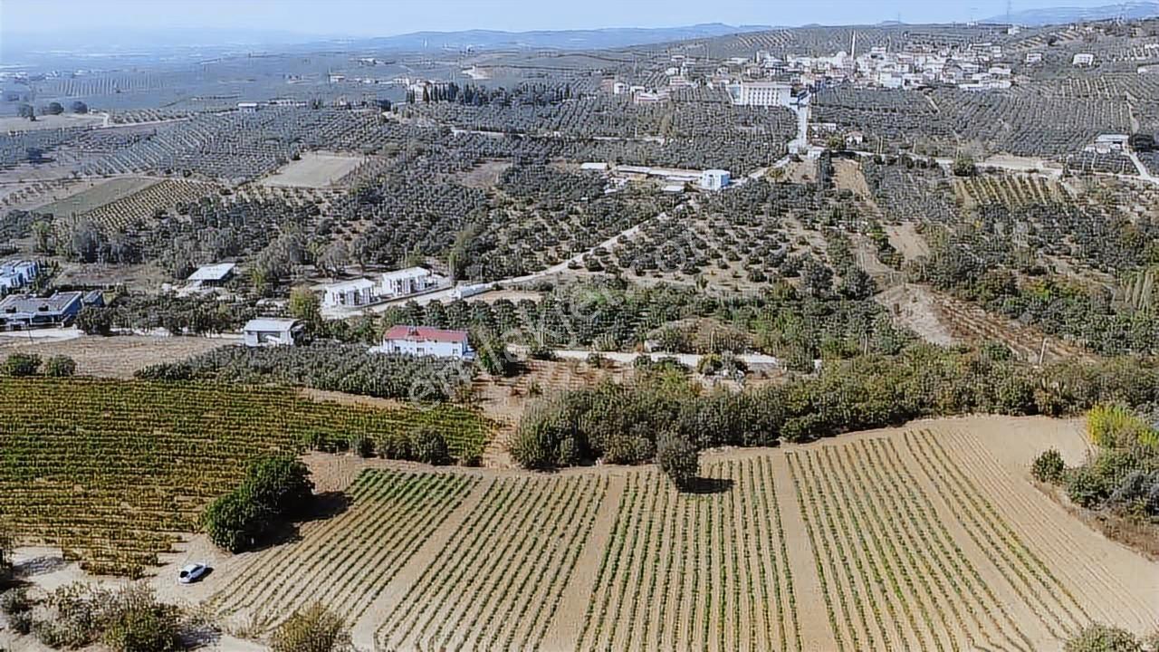 Bursa Mudanya Mürselde Eşsiz Arazi - Görsel 29