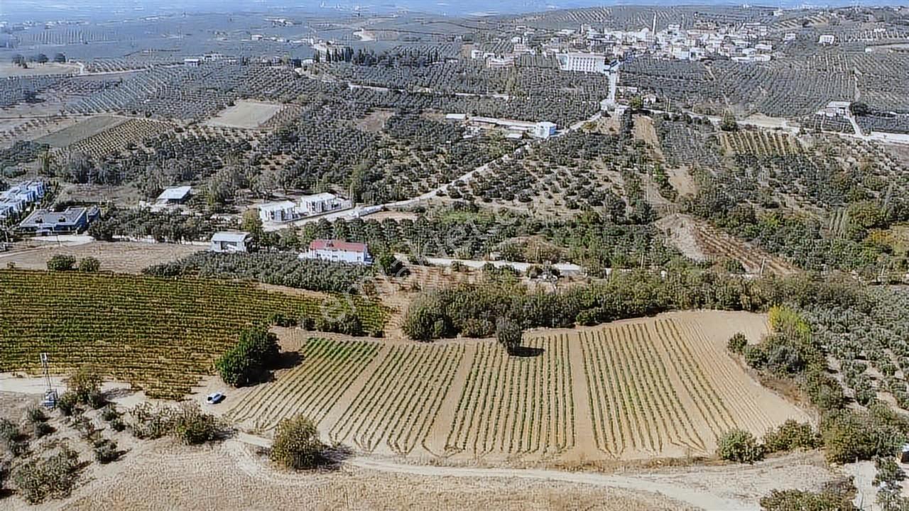 Bursa Mudanya Mürselde Eşsiz Arazi - Görsel 28