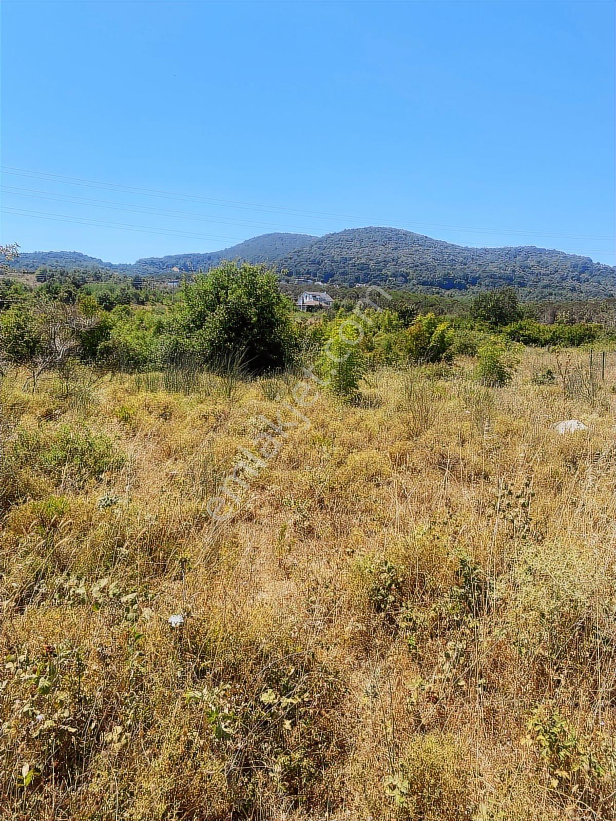 Yalova Çınarcık'ta Villa İmarlı Arsa - Görsel 10