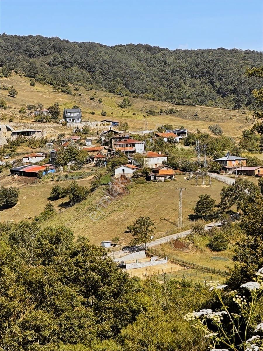 Truva Gayrimenkul Den Şile Yaka Mah. 1830m2 Fırsat. - Görsel 13