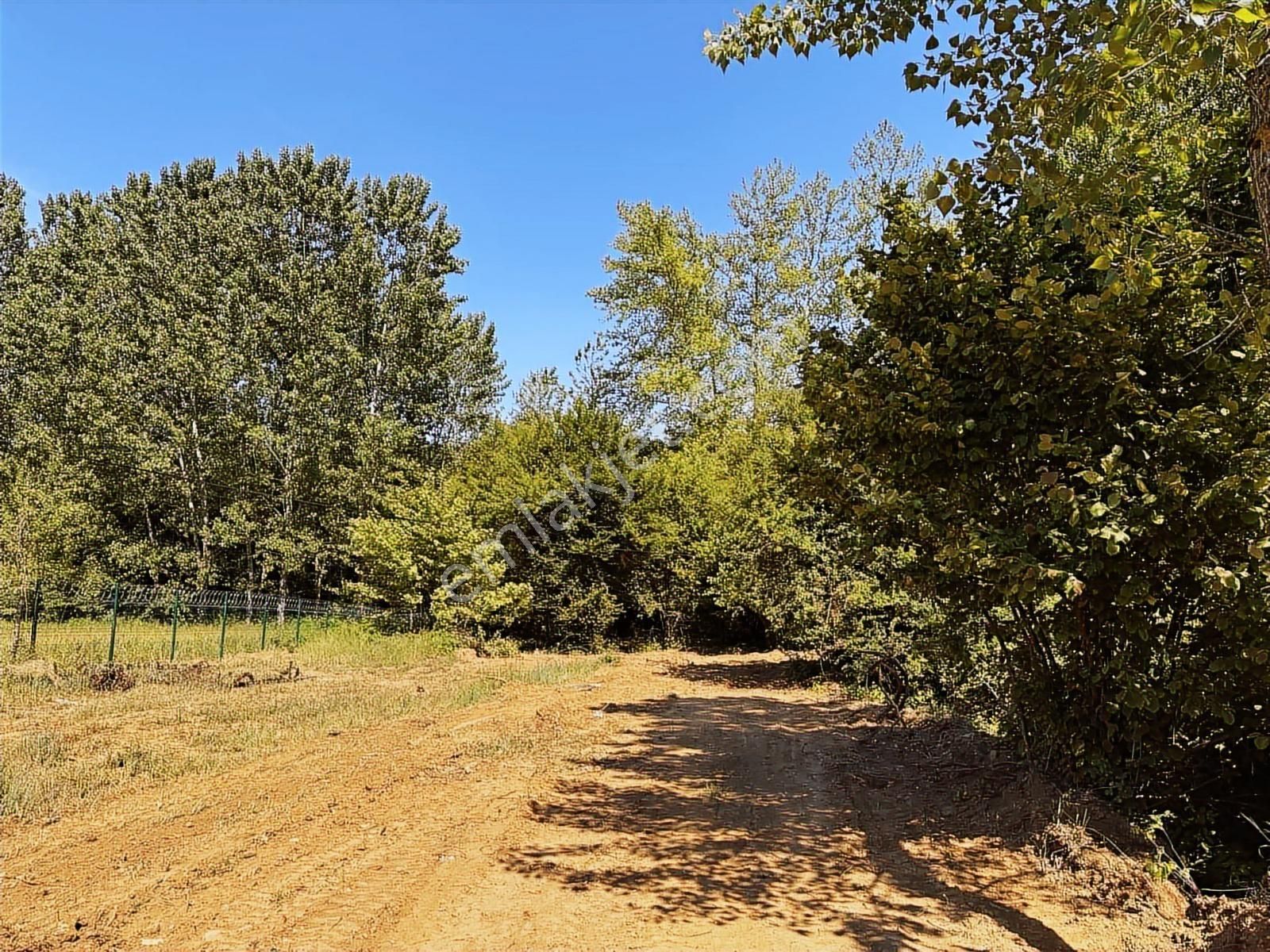 Truva Gayrimenkul Den Şile Yaka Mah. 1830m2 Fırsat. - Görsel 7