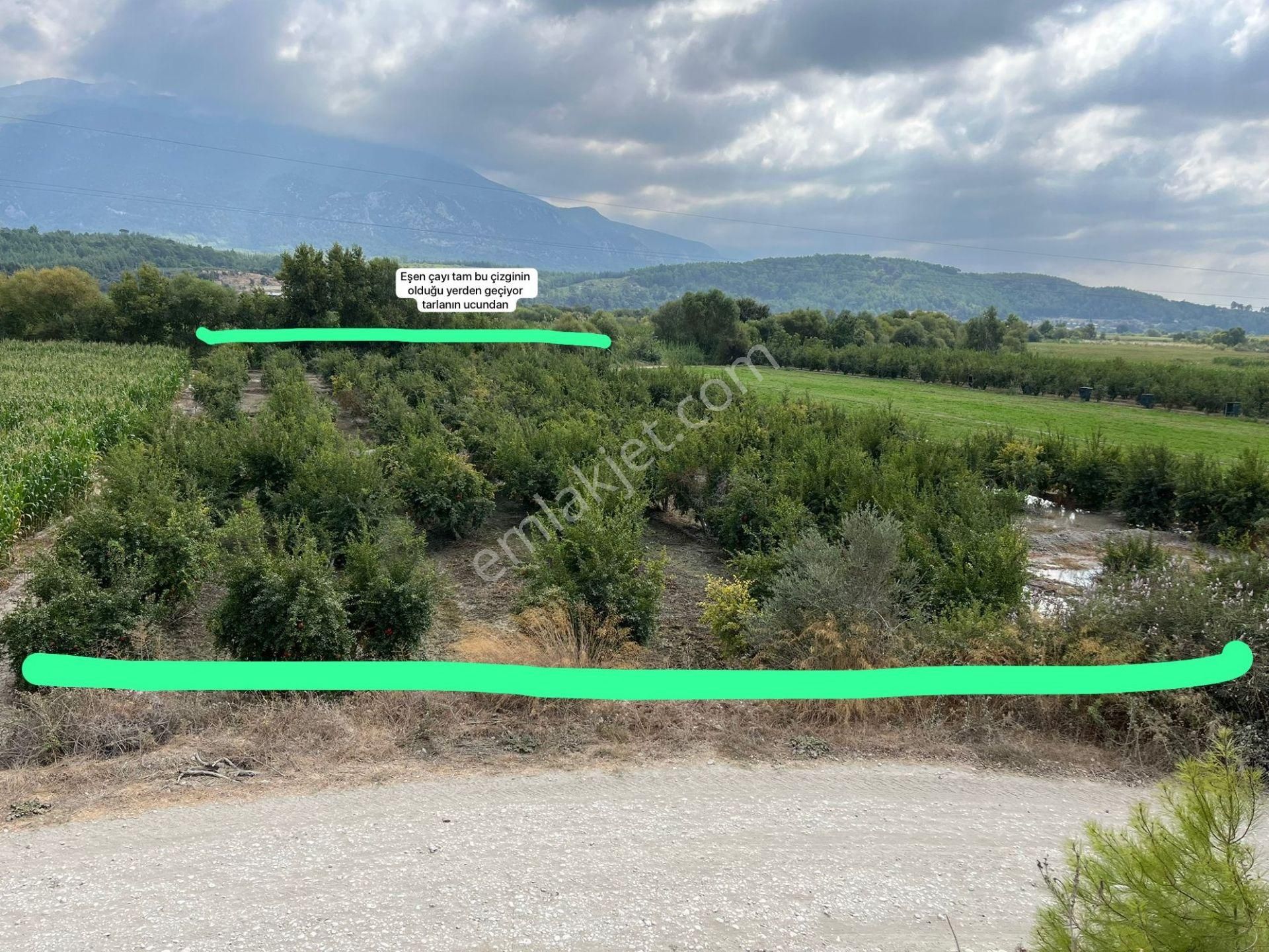 Goldhouse Dan Satılık Seydikemer Demirlerde Nar Bahçesi - Görsel 4
