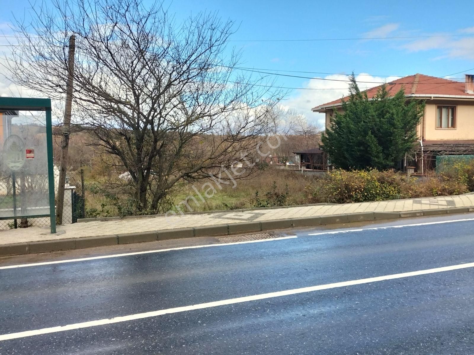 Doğancılı Da Denize Çok Yakın 750m2 Projesi Hazır Satılık Arsa - Görsel 19