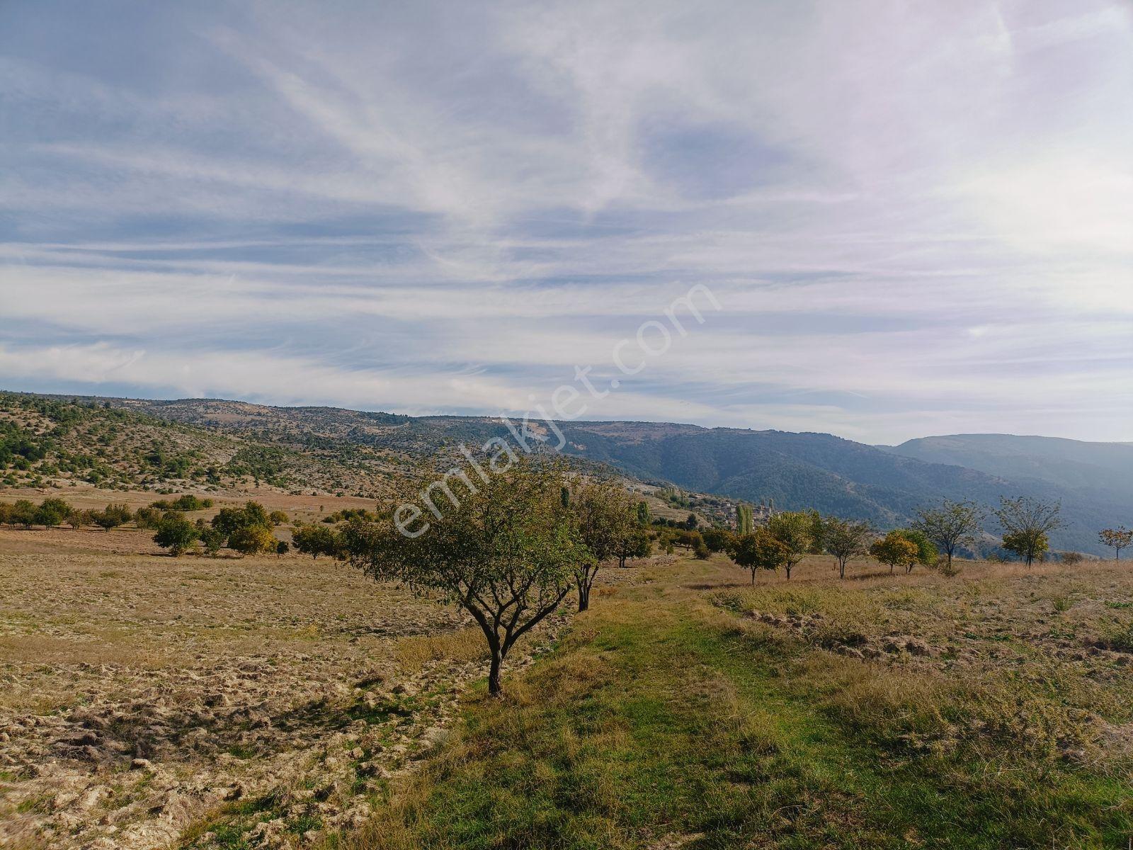 Köy Yerleşim Yerine 600 Metre Mesafede 5653m2 - Görsel 4