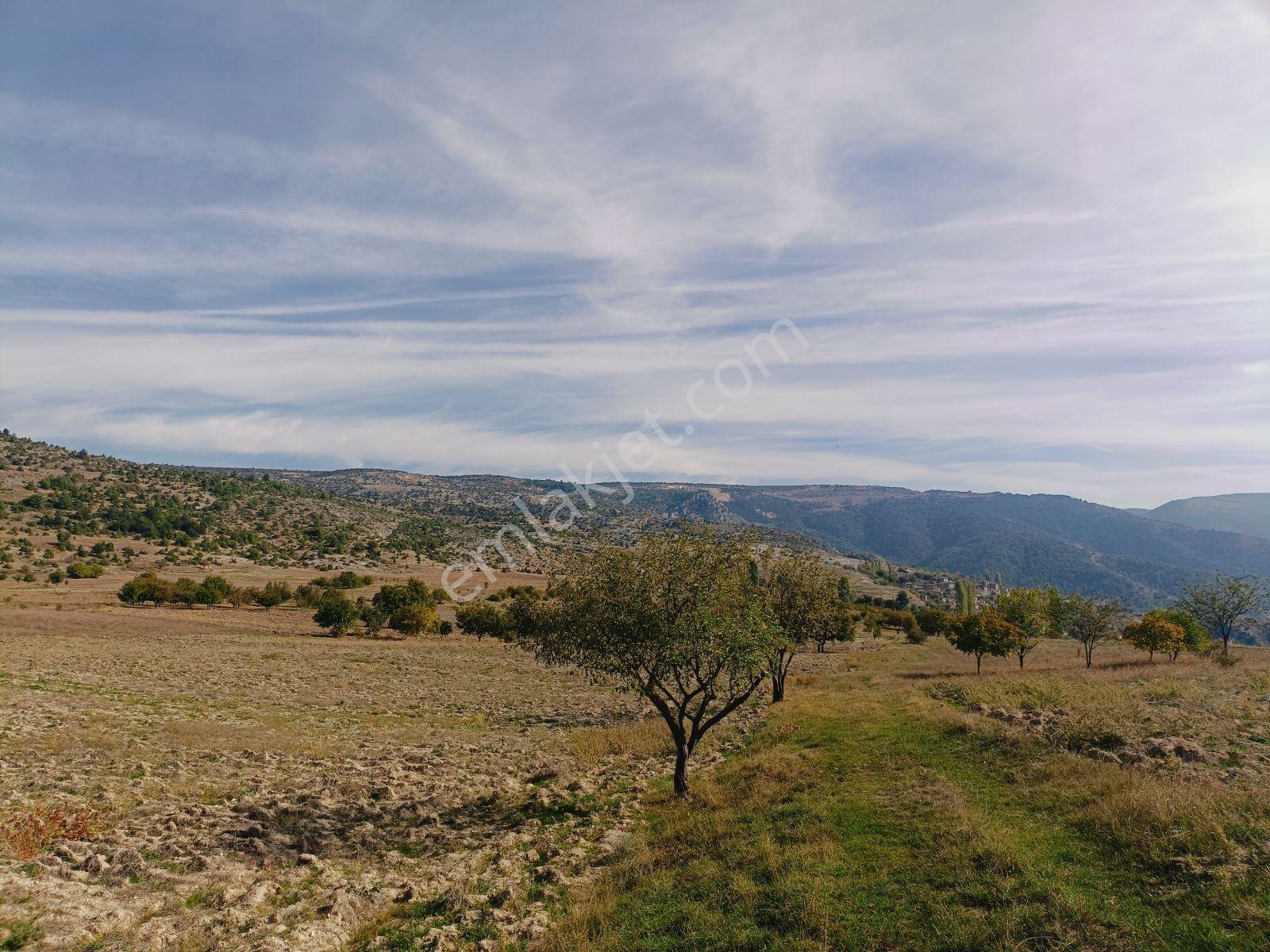 Köy Yerleşim Yerine 600 Metre Mesafede 5653m2 - Görsel 3