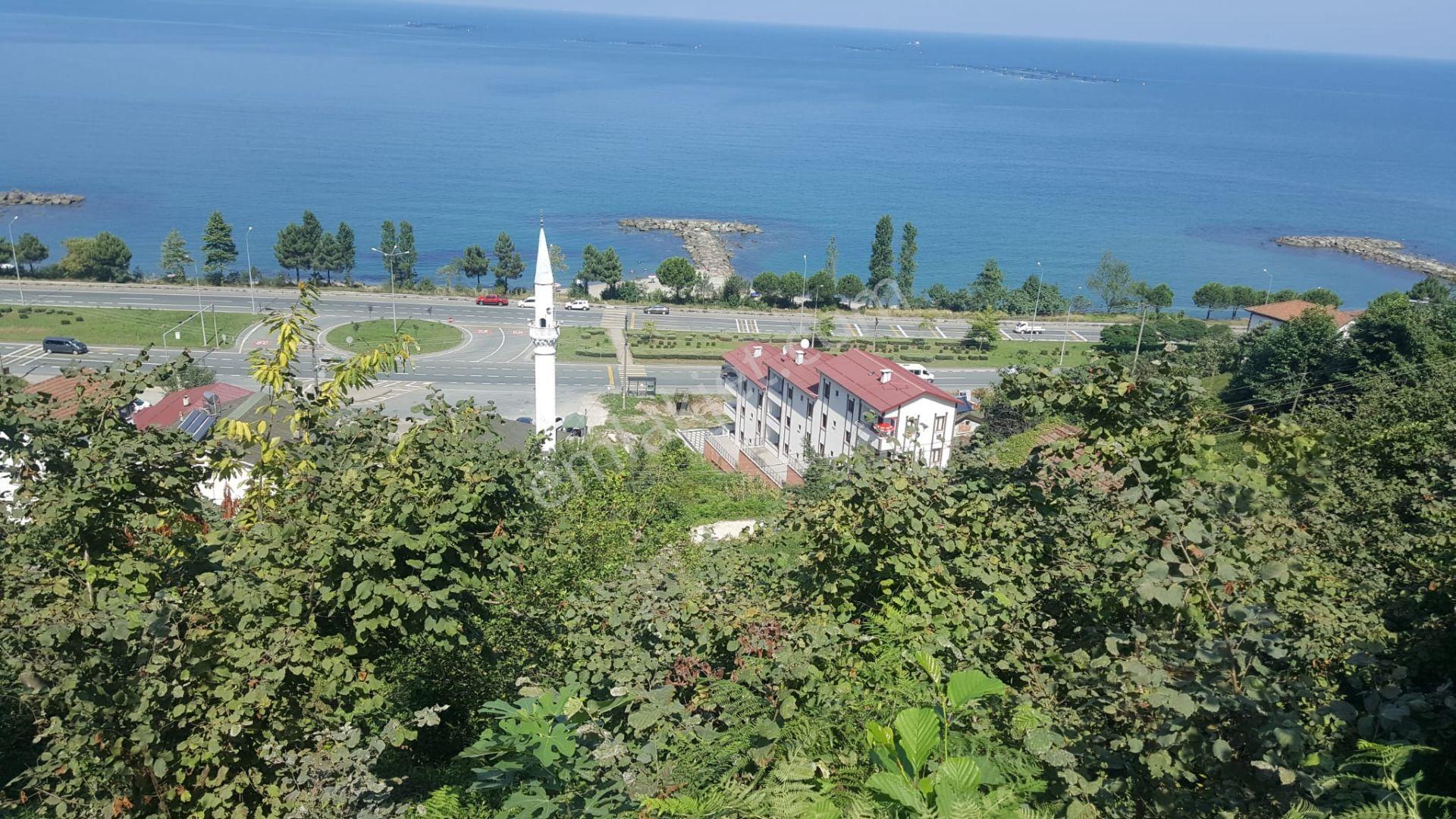 Trabzon Of ' Ta Yatırımlık Deniz Manzaralı Arazi