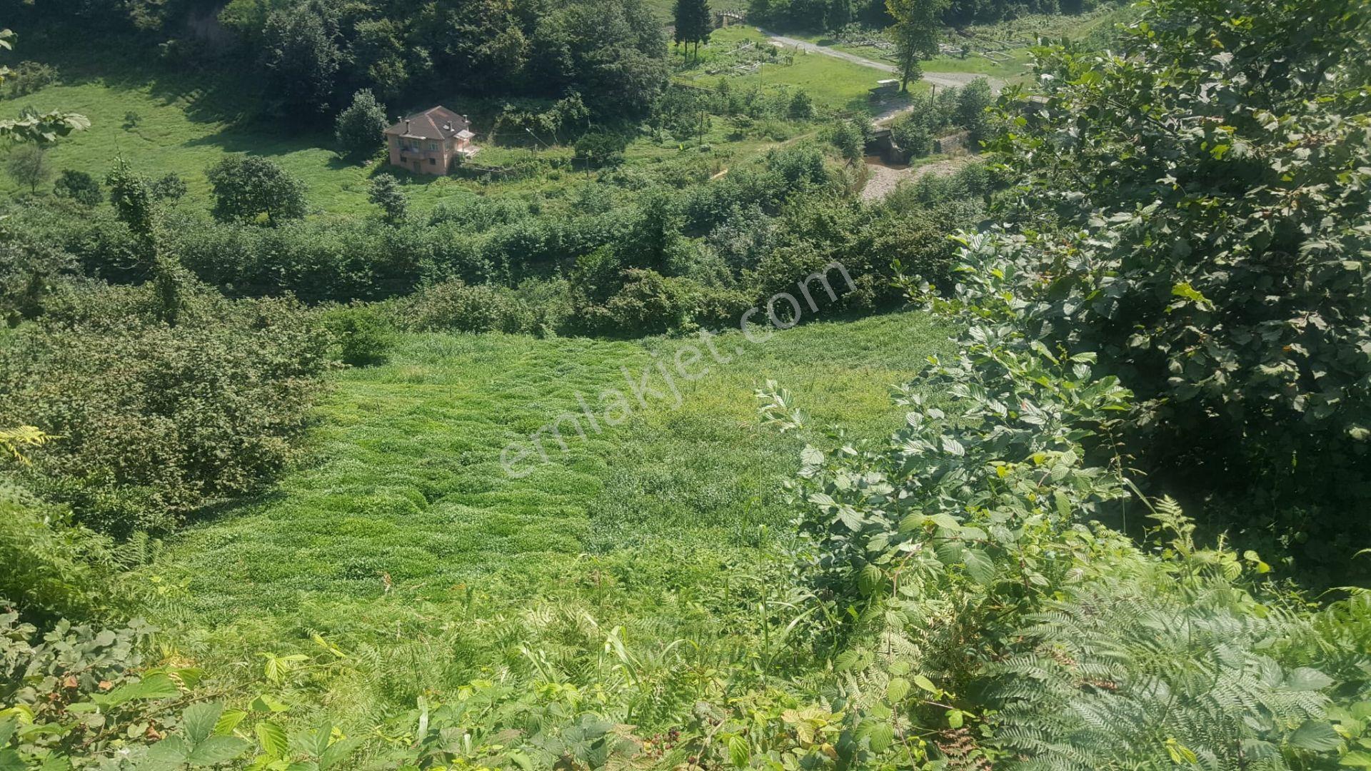 Trabzon Of ' Ta Yatırımlık Deniz Manzaralı Arazi - Görsel 4