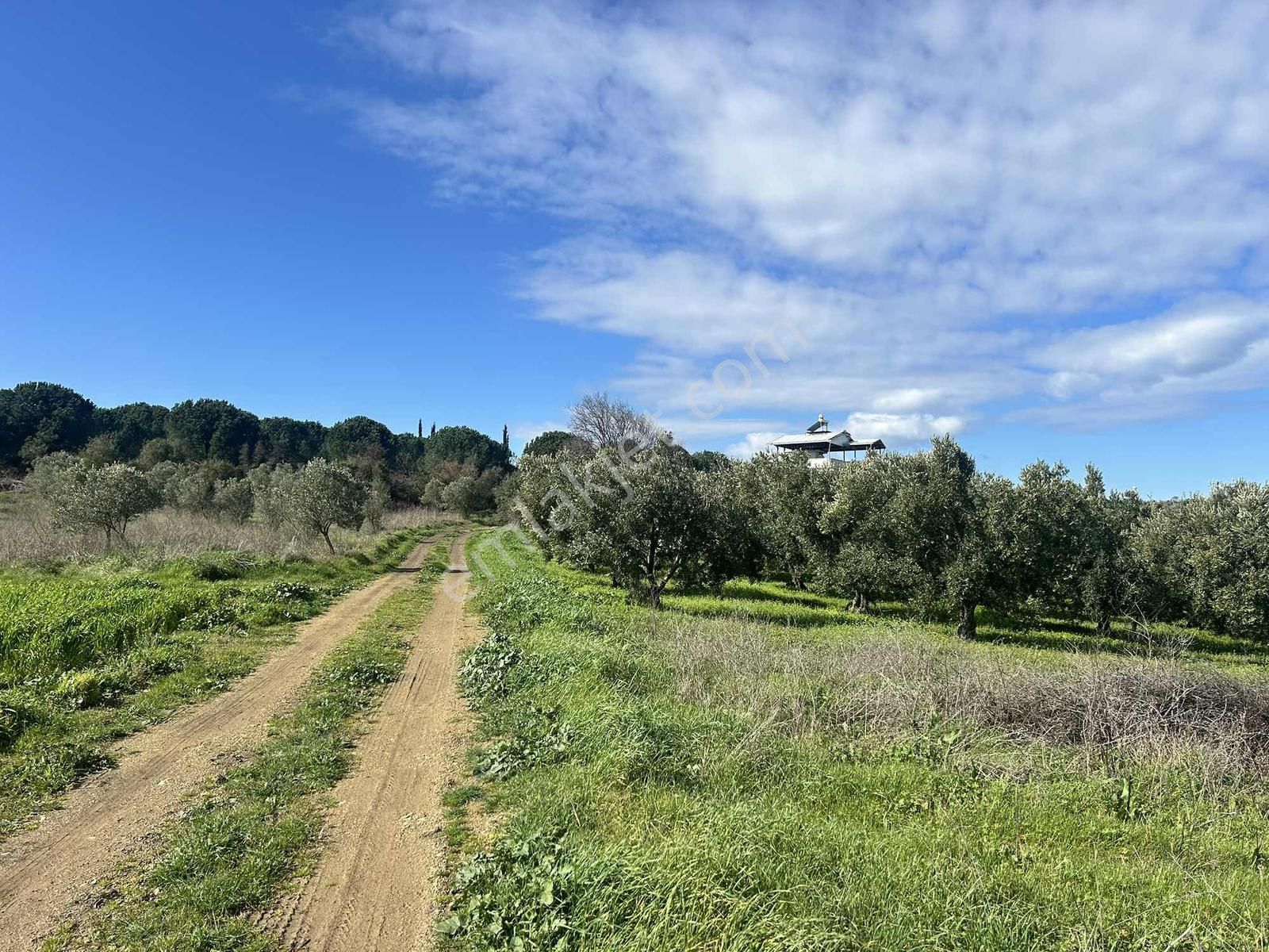 Mudanya Söğütpınar Köye Yakın Satılık Tarla - Görsel 11