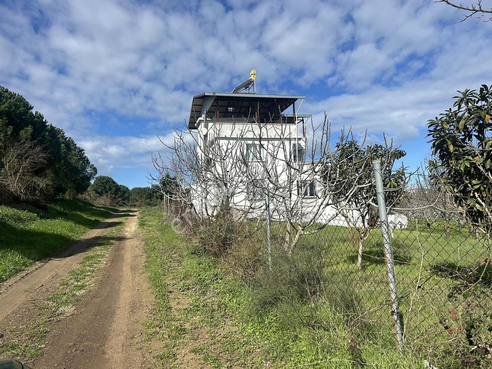 Mudanya Söğütpınar Köye Yakın Satılık Tarla - Görsel 4
