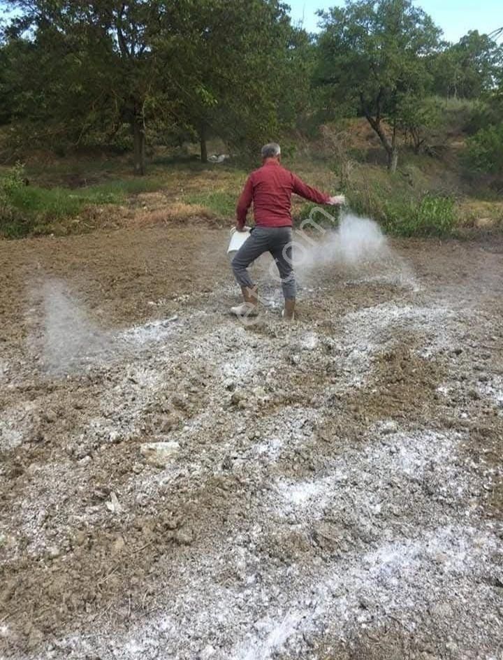 Kent Gayrimenkul'den Tire Dağdere Köyü'nde Satılık Ceviz Bahçesi - Görsel 14
