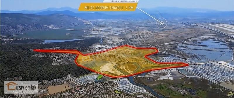 Milas Kıyıkışlacıkta Turizm Bölgesi İçinde 500 Dönüm Geniş Arazi - Görsel 4